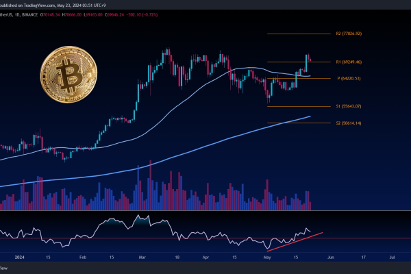 Weekly Market Review: Bitcoin (BTCUSDT) - Daily Chart Analysis